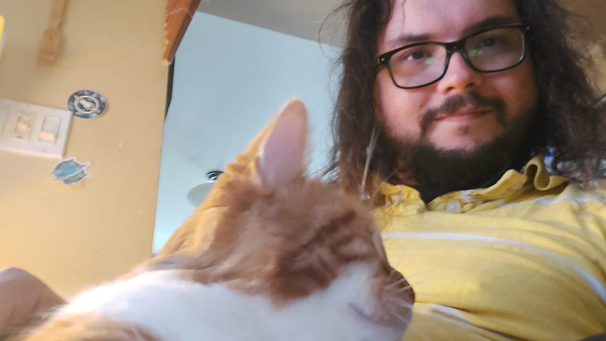 An orange cat is with a man with long dark hair, photo 3